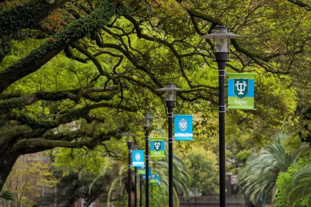 Photo of Tulane University campus. 